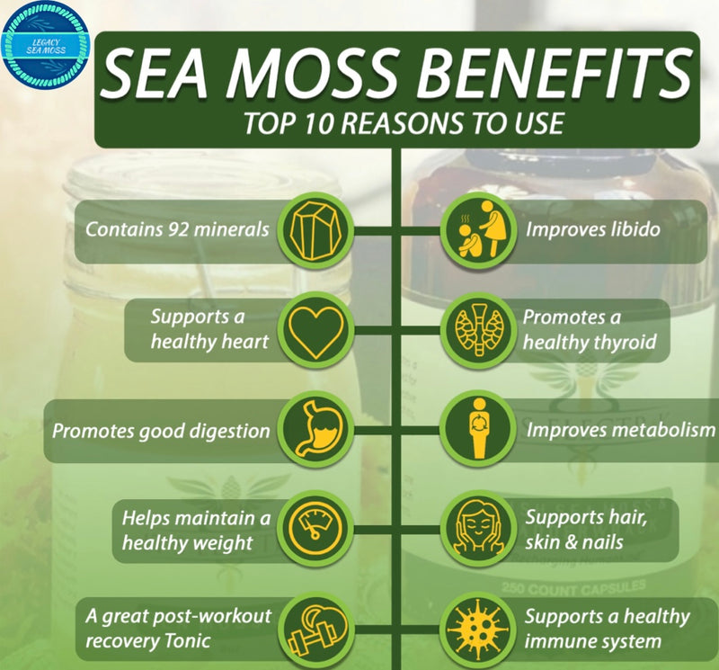 Sea moss benefits 